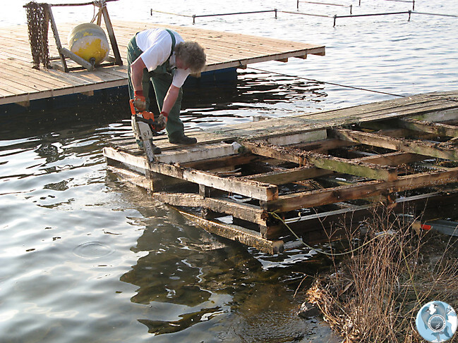 Abbau alter Schwimmponton_16
